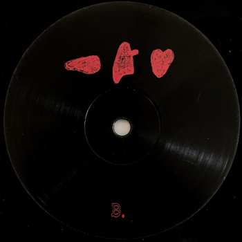 LP Frightened Rabbit: The Midnight Organ Fight