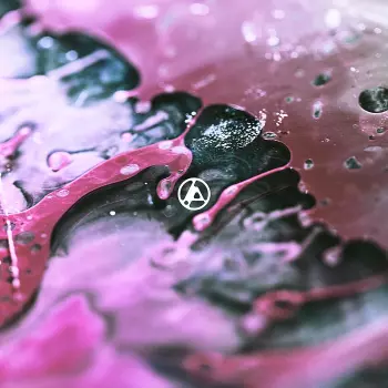 Album Linkin Park: From Zero