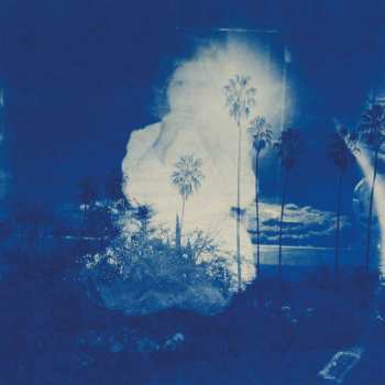 CD Fruit Bats: A River Running to Your Heart