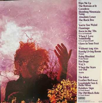 2LP Fruit Bats: Sometimes A Cloud Is Just A Cloud: Slow Growers, Sleeper Hits, And Lost Songs (2001-2021) CLR | DLX