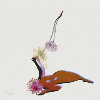 CD Future Islands: The Far Field 