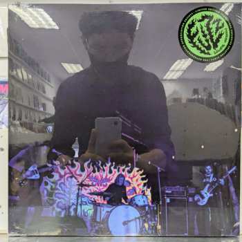 LP Fuzz: Levitation Sessions LTD | CLR