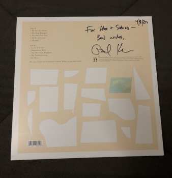 LP Gabriel Kahane: Magnificent Bird