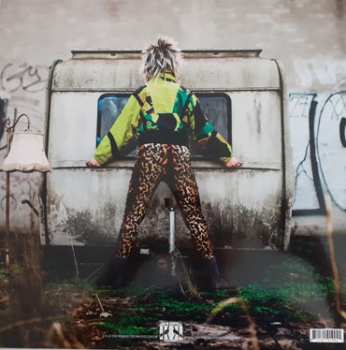 LP Gaffa Ghandi: Artificial Disgust