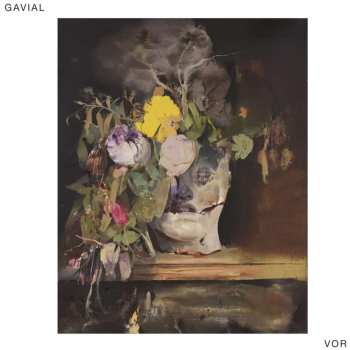 LP Gavial: Vor LTD
