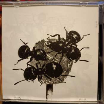 CD Gazzelle: Indi
