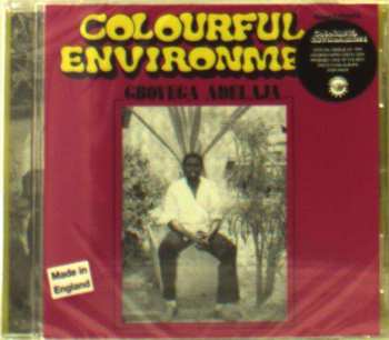 CD Gboyega Adelaja: Colourful Environment