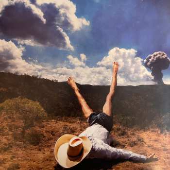 LP Geese: 3D Country