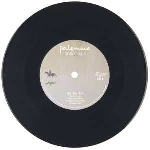 Album Gemma Hayes: Palomino