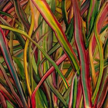 Album Gengahr: Where Wildness Grows