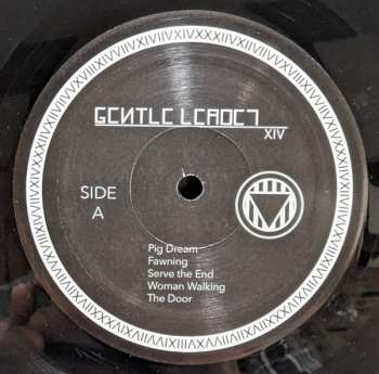 LP Gentle Leader XIV: Joke In The Shadow