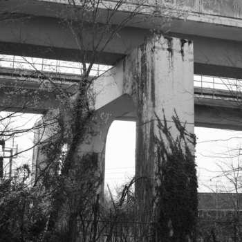 Album Gentleman Jesse: Lose Everything