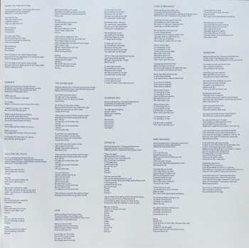 2LP Geographer: Down And Out In The Garden Of Earthly Delights CLR | LTD