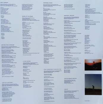 2LP Geographer: Down And Out In The Garden Of Earthly Delights CLR | LTD