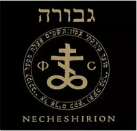 Necheshirion