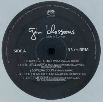 LP Gin Blossoms: Live In Concert CLR