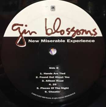 LP Gin Blossoms: New Miserable Experience