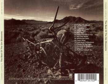 CD Gin Blossoms: Outside Looking In: The Best Of The Gin Blossoms