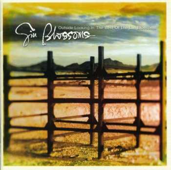 CD Gin Blossoms: Outside Looking In: The Best Of The Gin Blossoms