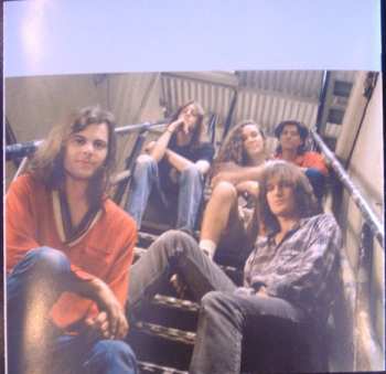 CD Gin Blossoms: The Best Of Gin Blossoms