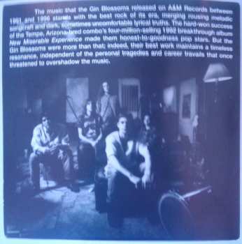 CD Gin Blossoms: The Best Of Gin Blossoms