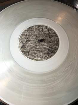 2LP Glen Hansard: This Wild Willing LTD | CLR