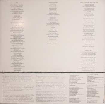2LP Glen Hansard: This Wild Willing