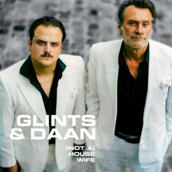 Album Glints: (Not A) Housewife