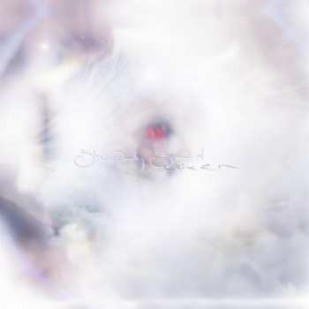 LP Glixen: She Only Said LTD