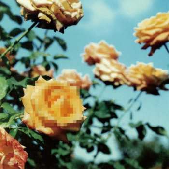 Album Globe: Relation