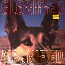 Album Glorified Magnified: Releasing The Beauty Within