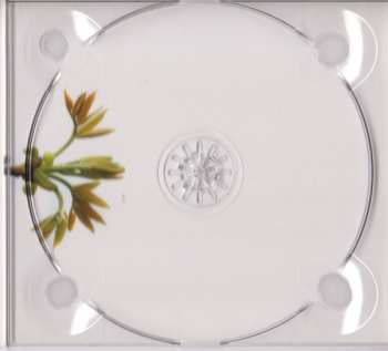 CD Rubens Quartet: Seven Sonnets