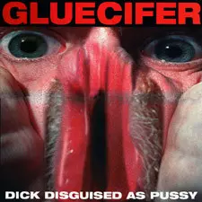 Dick Disguised As Pussy