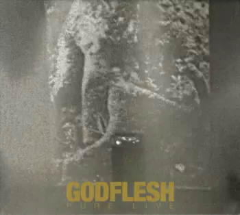 Godflesh: Pure : Live
