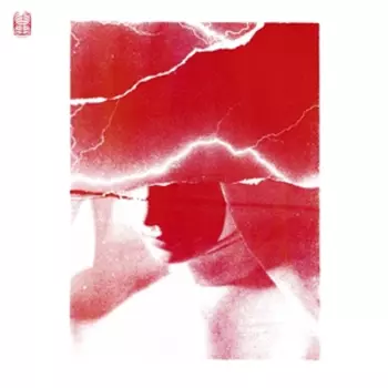 Siamo Tutti In Pericolo