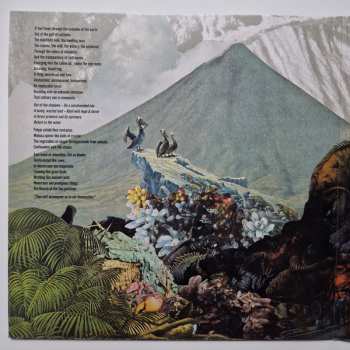 2LP Goncalo F. Cardoso: Exotic Immensity