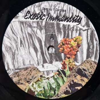 2LP Goncalo F. Cardoso: Exotic Immensity