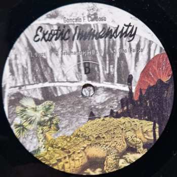 2LP Goncalo F. Cardoso: Exotic Immensity