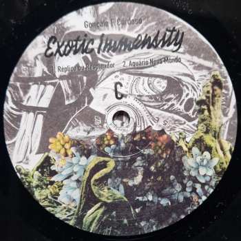 2LP Goncalo F. Cardoso: Exotic Immensity