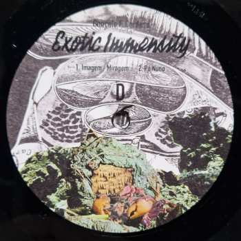 2LP Goncalo F. Cardoso: Exotic Immensity