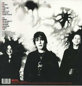 LP Goo Goo Dolls: Greatest Hits Volume One: The Singles