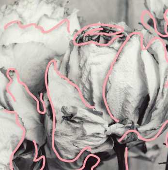CD Good Tiger: We Will All Be Gone LTD | DIGI