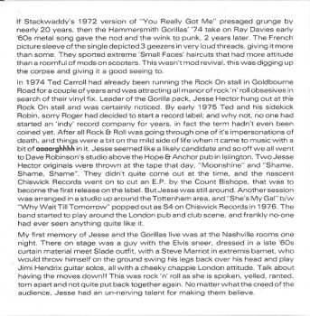 CD The Gorillas: Message To The World