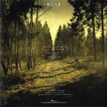 2LP Steven Wilson: Grace For Drowning LTD