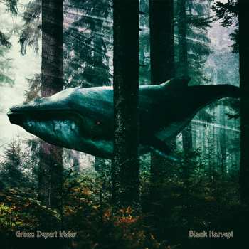 Album Green Desert Water: Black Harvest
