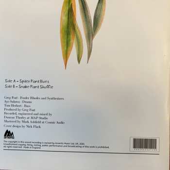 SP Greg Foat: Spider Plant Blues