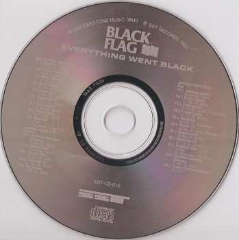 CD Greg Ginn: Everything Went Black