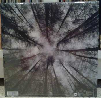 LP Greg Keelor: Last Winter