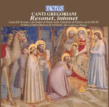 CD Gregorian School Of Venice / Menga: Resonet Intonet