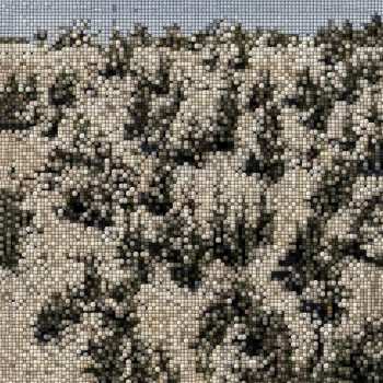 LP Gregory Uhlmann: Extra Stars